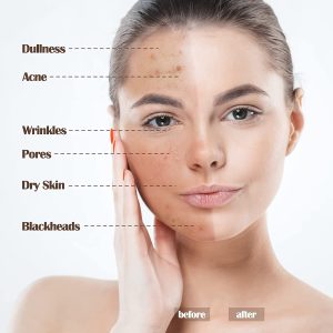 BestLand 2Pack PHOERA Foundation Full Coverage Liquid Foundation Cream